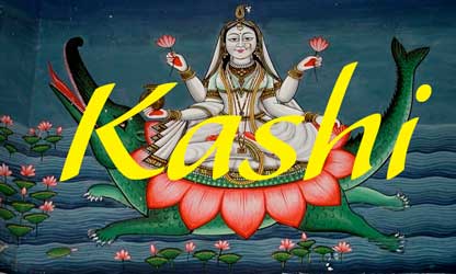 Kashi